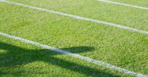 Revenue Streams in Major Sports Leagues Opportunities and Challenges