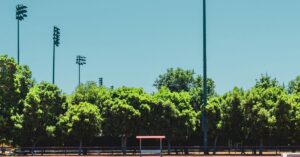 Effective Strategies for Coaching Elite Athletes