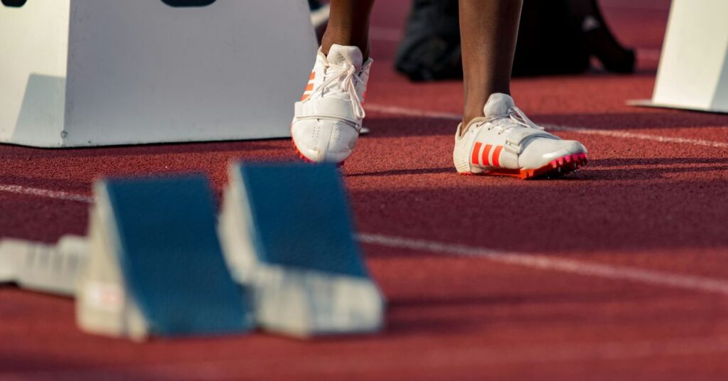 Economic Analysis of Sports Franchise Value
