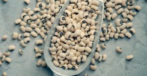 Grain-Free Recipes Options for a Grain-Free Diet